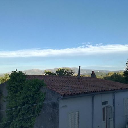 Apartamento Monti Di Bo Aggius Exterior foto