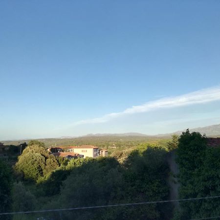 Apartamento Monti Di Bo Aggius Exterior foto